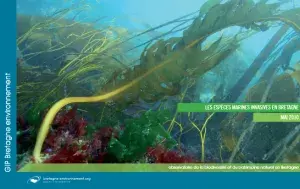 couv Les espèces marines invasives en Bretagne