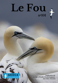 couv Le Fou - n°101
