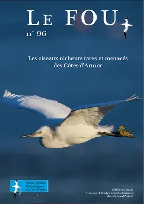 couv Le Fou - n°96