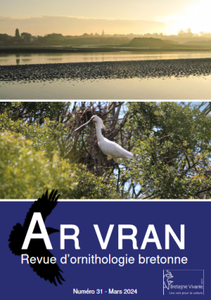 couv Ar Vran - Revue d'ornithologie bretonne - n°31