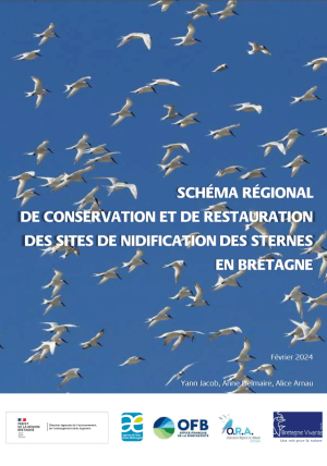 couv Schéma régional de conservation et de restauration des sites de nidification des sternes en Bretagne