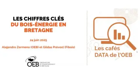 Capture café data bois énergie