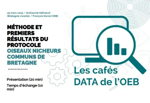 café data Méthode et premiers résultats du protocole Oiseaux Nicheurs Communs