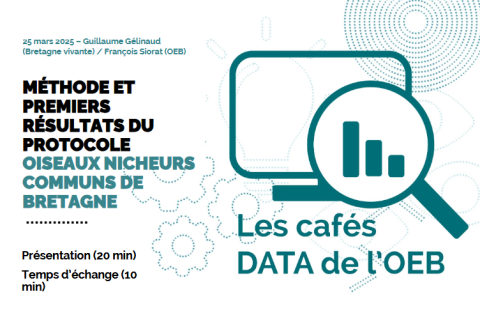 café data Méthode et premiers résultats du protocole Oiseaux Nicheurs Communs