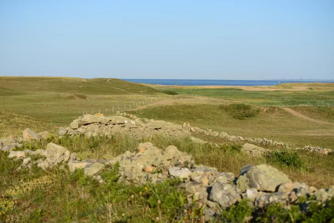 Photo murets dunes