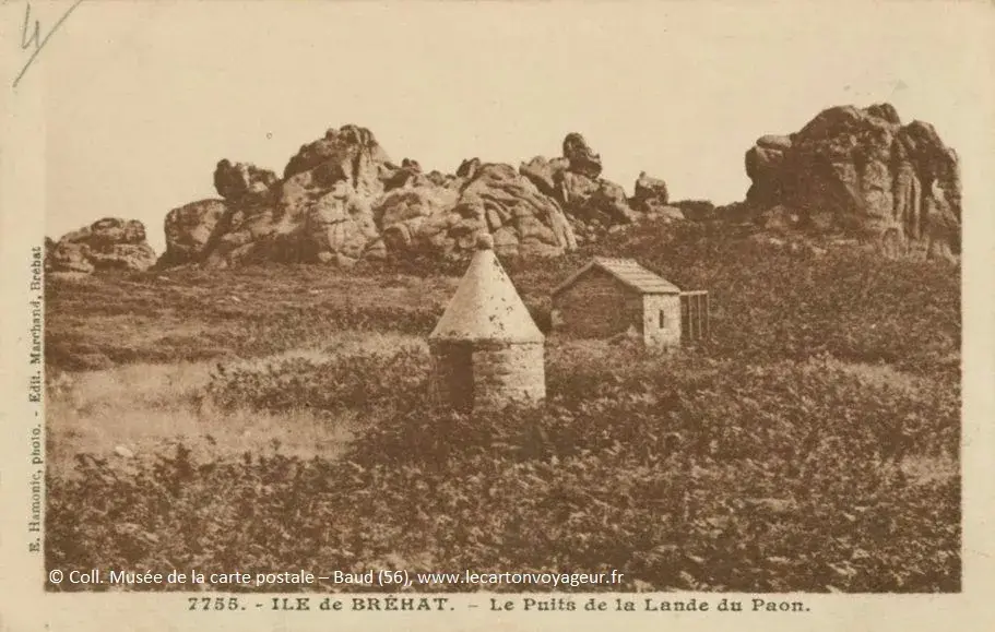 Photo lande Île-de-Bréhat