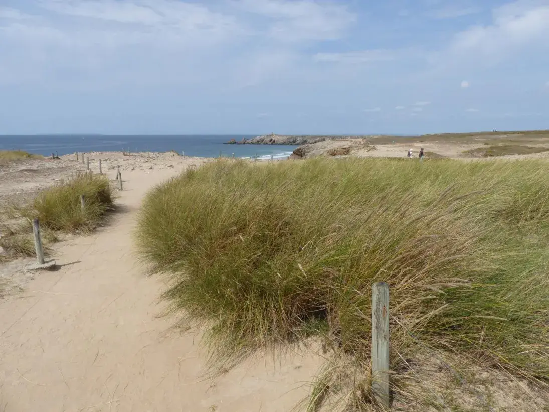 Photo dunes sauvages de Gâvres à Quiberon