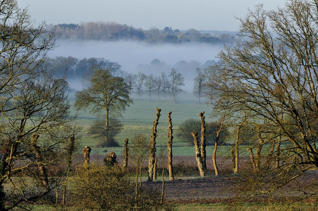 Photo bocage