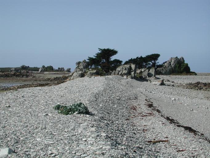 Photo Cordon de galets de l'île Illiec
