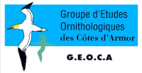 logo geoca