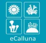 logo ecalluna