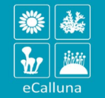 logo ecalluna