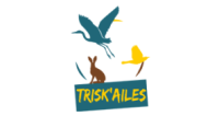 logo Trisk'ailes