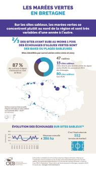Infographie sur les algues vertes en Bretagne