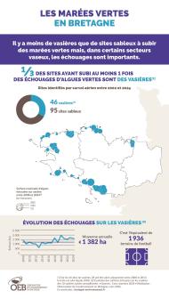 Infographie sur les marées vertes en Bretagne