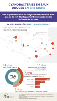 Infographie Cyanobactéries en eaux douces en Bretagne