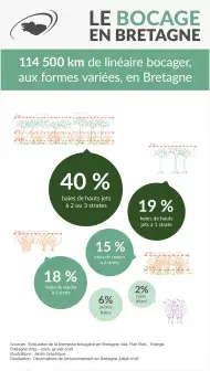 Infographie Les haies bocagères en Bretagne