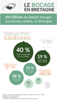 Infographie Le bocage en Bretagne