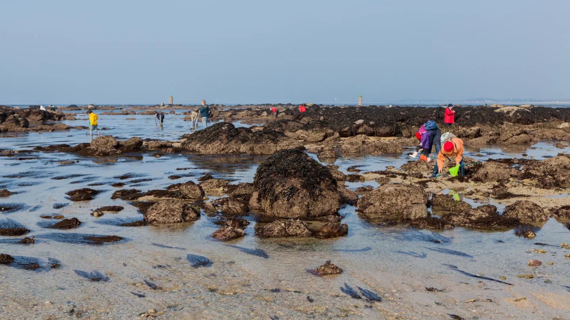 Photo Pêche à pied de coquillages et crustacés