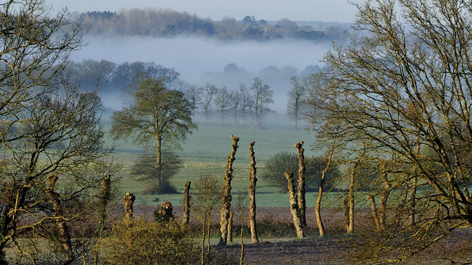 Photo bocage