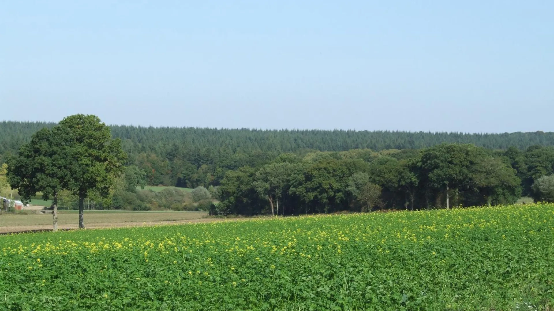 Photo Paysage boisé et de bosquets