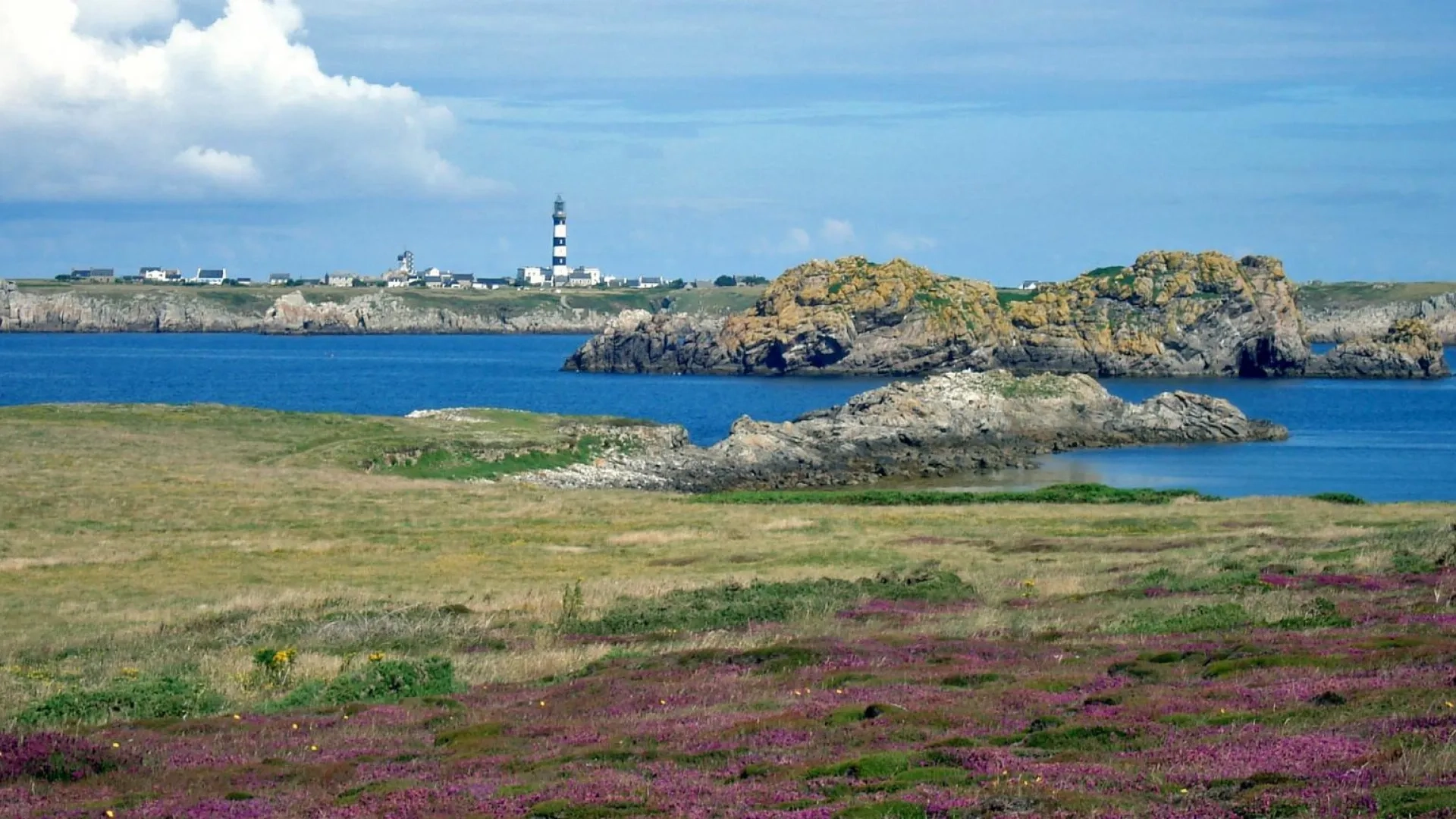 Photo Les landes d'Ouessant