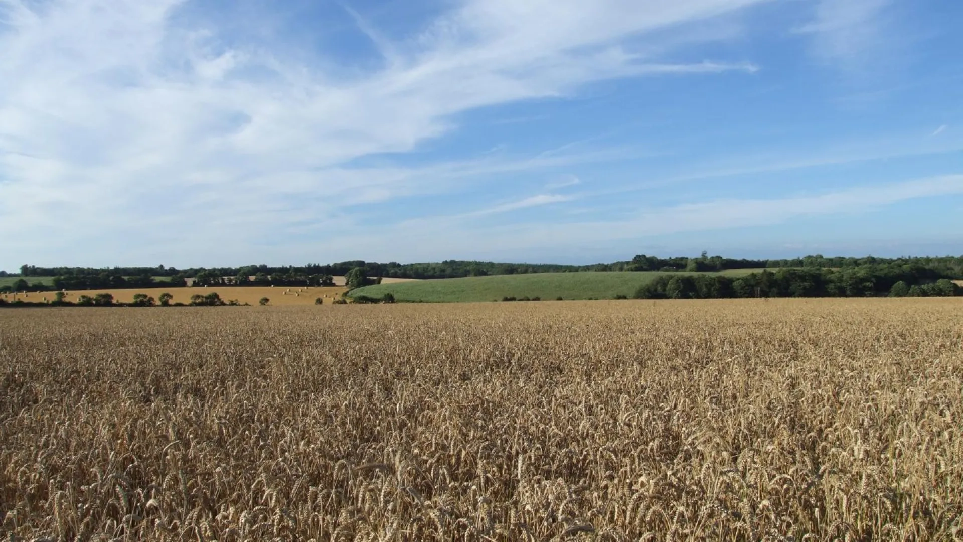 Photo bocage distendu