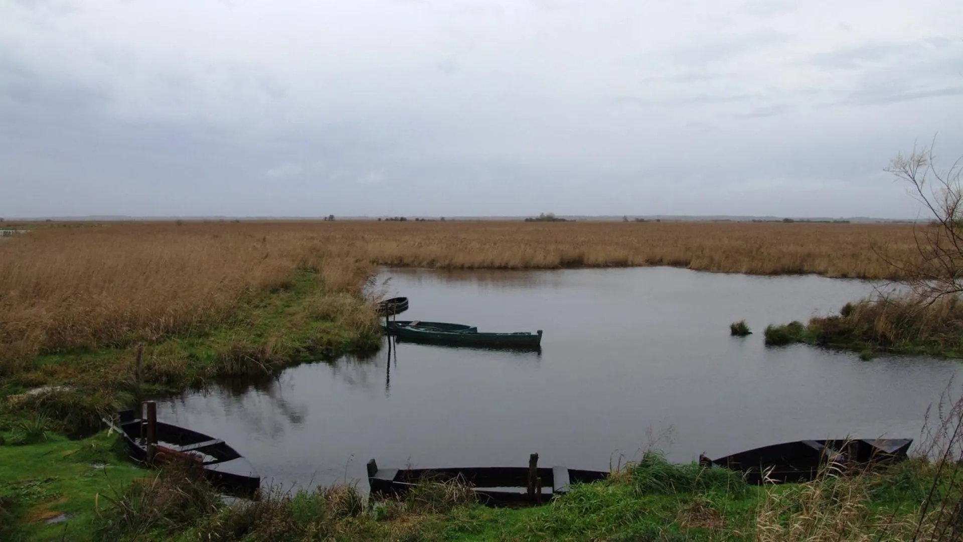 Photo Paysage de zones humides d’eau douce