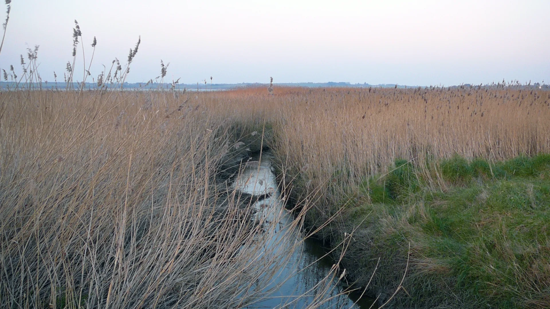 Photo ruisseau du Lienne