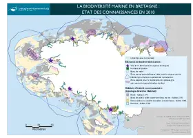 La biodiversité marine en Bretagne