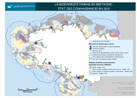 La biodiversité marine en Bretagne