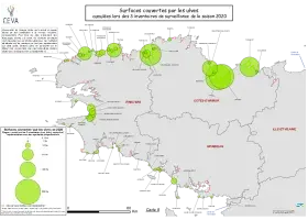 Surfaces couvertes par les ulves cumulées lors des 3 inventaires de surveillance de la saison 2020