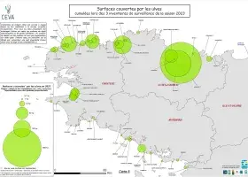 Surfaces couvertes par les ulves cumulées lors des 3 inventaires de surveillance de la saison 2023