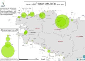 Surfaces couvertes par les ulves cumulées lors des 3 inventaires de surveillance de la saison 2023