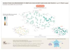 Inondations par débordement et débits de crue en Bretagne dans une France à +2,7°C (TRACC 2050) - Évolution des débits de crue annuels