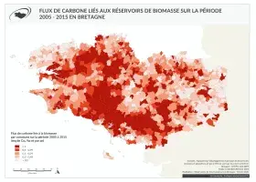 Flux de carbone liés aux réservoirs de biomasse sur la période 2005 - 2015 en Bretagne