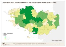Linéaire des haies boisées (arborées et arbustives) par EPCI en Bretagne en 2020