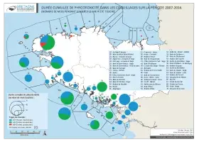 Phytoplancton toxique dans les coquillages sur la période 2007 - 2016