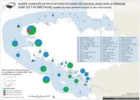 Phytoplancton toxique dans les coquillages sur la période 2008 - 2017