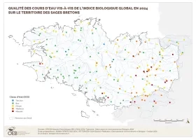 Qualité biologique globale des cours d'eau bretons en 2024