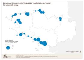 Échouage d'algues vertes sur les vasières en Bretagne - Période 2008-2024