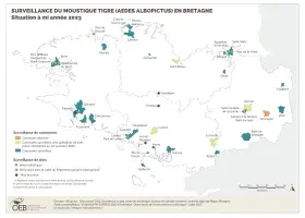 Surveillance du moustique tigre