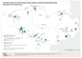 Surveillance du moustique tigre