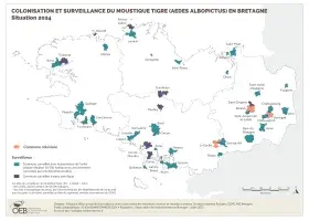 Surveillance du moustique tigre (Aedes Albopictus) en Bretagne - Situation 2024