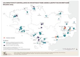 Surveillance du moustique tigre (Aedes Albopictus) en Bretagne - Situation 2024