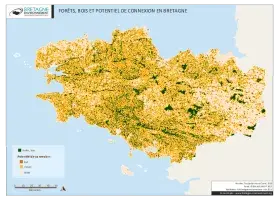 Forêts, bois et potentiel de connexion
