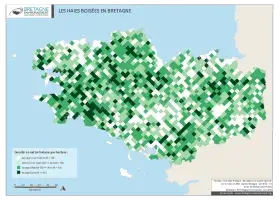 Les haies boisées en Bretagne (2008)