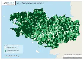 Les linéaires bocagers en Bretagne (2008)