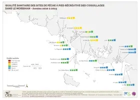 Qualité sanitaire des sites de pêche à pied récréative des coquillages dans le Morbihan - Années 2020 à 2023