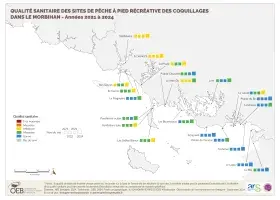 Qualité sanitaire des sites de pêche à pied récréative des coquillages dans le Morbihan - Années 2021 à 2024